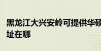 黑龍江大興安嶺可提供華碩投影機維修服務地址在哪