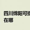 四川綿陽可提供理光激光打印機維修服務地址在哪