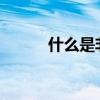 什么是非常 一年級語文是什么？