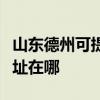 山東德州可提供愛普生激光打印機維修服務地址在哪