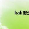 kali滲透測試培訓的內容是什么