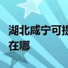 湖北咸寧可提供理光激光打印機維修服務地址在哪