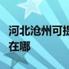 河北滄州可提供佳能激光打印機維修服務地址在哪