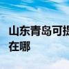 山東青島可提供佳能激光打印機維修服務地址在哪