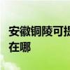 安徽銅陵可提供佳能激光打印機維修服務地址在哪