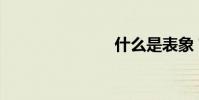 什么是表象?
