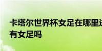 卡塔爾世界杯女足在哪里進行 卡塔爾世界杯有女足嗎