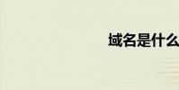 域名是什么