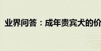 業界問答:成年貴賓犬的價格是多少錢一只