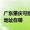 廣東肇慶可提供佳能便攜照片打印機維修服務地址在哪