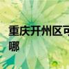 重慶開州區可提供佳能復印機維修服務地址在哪
