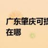 廣東肇慶可提供佳能噴墨打印機維修服務地址在哪