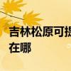 吉林松原可提供佳能數碼復合機維修服務地址在哪