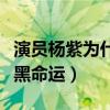 演員楊紫為什么叫滋滋（走紅之后的她難逃被黑命運）