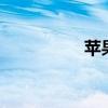 蘋果12突然黑屏是什么