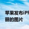 蘋果發布iPhoneXR官方壁紙 請收集12張美麗的圖片