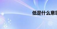 低是什么意思