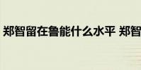 鄭智留在魯能什么水平 鄭智為什么不去魯能