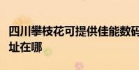 四川攀枝花可提供佳能數碼復合機維修服務地址在哪