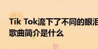 Tik Tok流下了不同的眼淚 渴望回憶的美麗 歌曲簡介是什么
