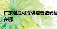 廣東湛江可提供夏普數碼復合機維修服務地址在哪