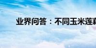 業界問答:不同玉米蓮藕排骨湯做法