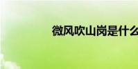微風吹山崗是什么意思?