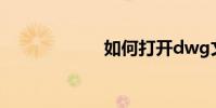 如何打開dwg文件