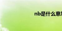 nb是什么意思