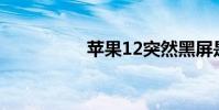 蘋果12突然黑屏是什么