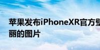 蘋果發布iPhoneXR官方壁紙 請收集12張美麗的圖片