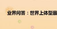 業界問答:世界上體型最大的雕有多大