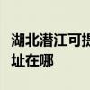 湖北潛江可提供愛普生針式打印機維修服務地址在哪