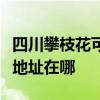 四川攀枝花可提供富士通針式打印機維修服務地址在哪