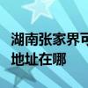 湖南張家界可提供富士通針式打印機維修服務地址在哪