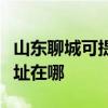 山東聊城可提供理光多功能一體機維修服務地址在哪