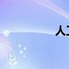 人工智能的格式是什么