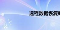 遠程數據恢復教程