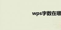 wps字數在哪里