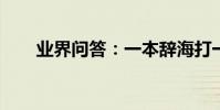 業界問答:一本辭海打一成語的答案