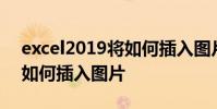 excel2019將如何插入圖片 以及Excel2019如何插入圖片