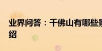 業界問答:千佛山有哪些景點_千佛山景點介紹