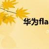 華為flaal10是什么類型的手機？