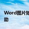 Word圖片如何自動編號？這個功能對你有幫助