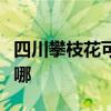 四川攀枝花可提供長城服務器維修服務地址在哪