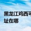 黑龍江雞西可提供中稅針式打印機維修服務地址在哪