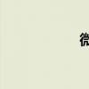 微信怎么只發文字？