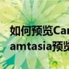如何預覽CamtasiaStudio的全屏 如何預覽Camtasia預覽窗口的全屏