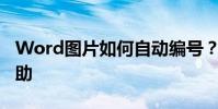 Word圖片如何自動編號?這個功能對你有幫助