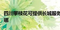 四川攀枝花可提供長城服務器維修服務地址在哪